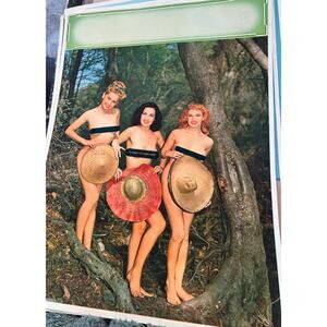 Large 1956 Pinup Censored Salesman Samples Litho Print